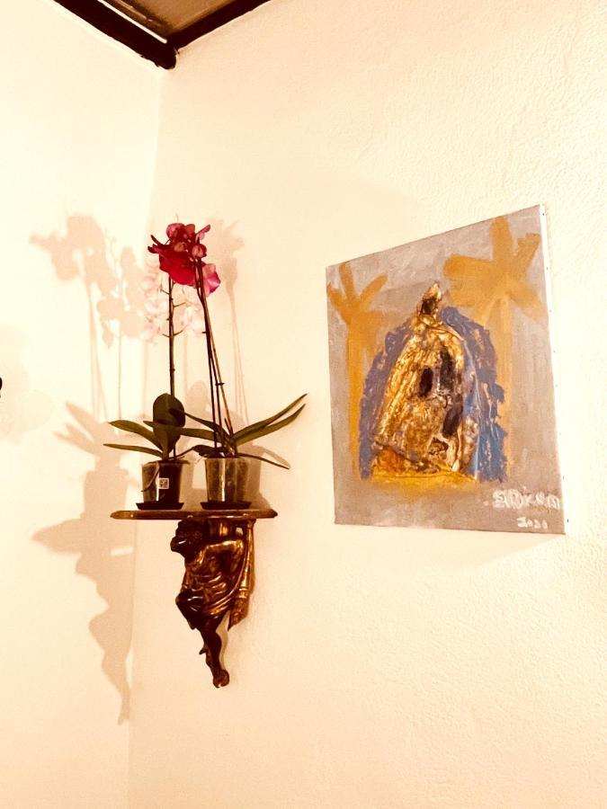 Casa Les Bambous Apartment Nimes Luaran gambar